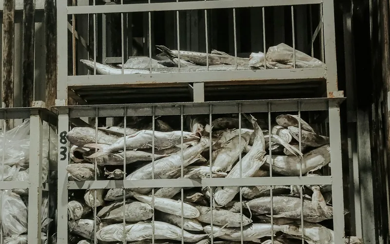 Cold chain food